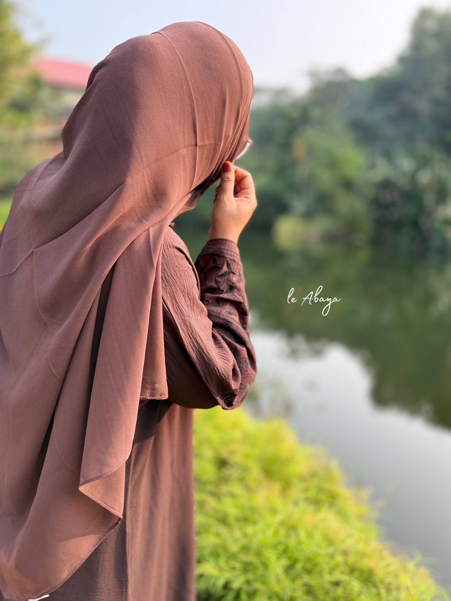 Brown embroidery Abaya